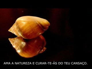AMA A NATUREZA E CURAR-TE-ÁS DO TEU CANSAÇO. 