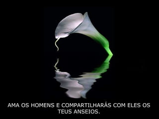 AMA OS HOMENS E COMPARTILHARÁS COM ELES OS TEUS ANSEIOS. 