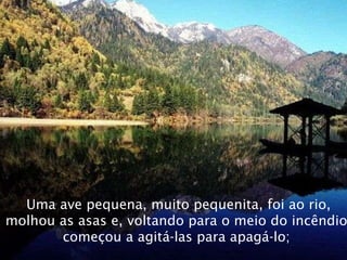 Uma ave pequena, muito pequenita, foi ao rio, molhou as asas e, voltando para o meio do incêndio, começou a agitá-las para apagá-lo;  