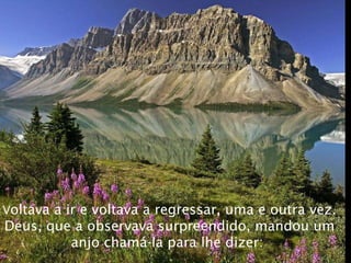 V oltava a ir e voltava a regressar, uma e outra vez. Deus, que a observava surpreendido, mandou um anjo chamá-la para lhe dizer:   