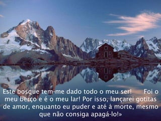 Este bosque tem-me dado todo o meu ser!  Foi o meu berço e é o meu lar! Por isso, lançarei gotitas de amor, enquanto eu puder e até à morte, mesmo que não consiga apagá-lo!» 