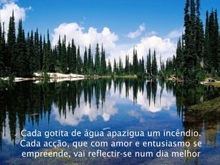 Cada gotita de água apazigua um incêndio. Cada acção, que com amor e entusiasmo se empreende, vai reflectir-se num dia melhor 