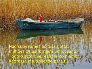 Não subestimes as tuas gotas: milhões delas formam um oceano. Todo o acto que realizas com amor Regressa multiplicado para ti!... 