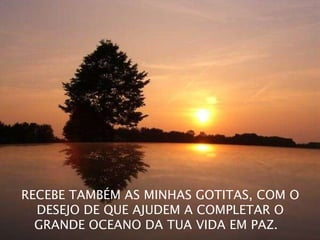 RECEBE TAMBÉM AS MINHAS GOTITAS, COM O DESEJO DE QUE AJUDEM A COMPLETAR O GRANDE OCEANO DA TUA VIDA EM PAZ.  