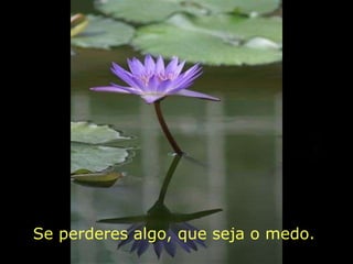 Se perderes algo, que seja o medo.  