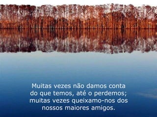 Muitas vezes não damos conta do que temos, até o perdemos; muitas vezes queixamo-nos dos nossos maiores amigos. 