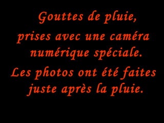 Gouttes de pluie,
 prises avec une caméra
   numérique spéciale.
Les photos ont été faites
   juste après la pluie.
 