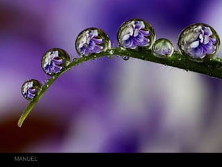 FOTOS SELECT AS 3 … 2011lMANUEL
 