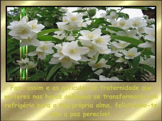 Faze assim e as gotículas de fraternidade que verteres nas horas anônimas se transformarão em refrigério para a tua própria alma, felicitando-te com a paz perecível. 