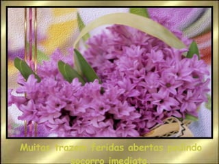 Muitas trazem feridas abertas pedindo socorro imediato. 