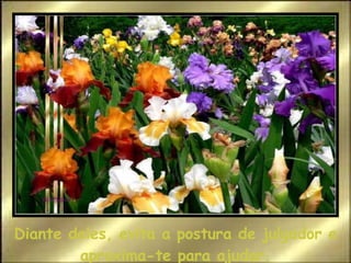 Diante deles, evita a postura de julgador e aproxima-te para ajudar. 