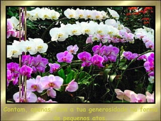 Contam, apenas, com a tua generosidade na forma de pequenos atos. 