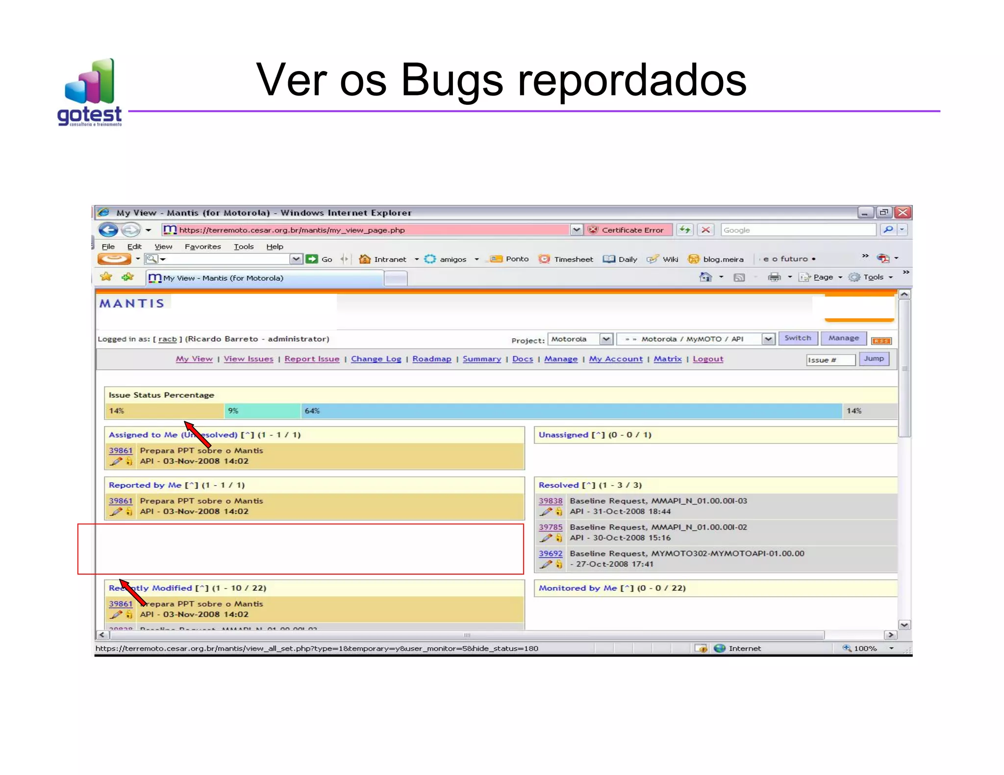 Ver os Bugs repordados
 