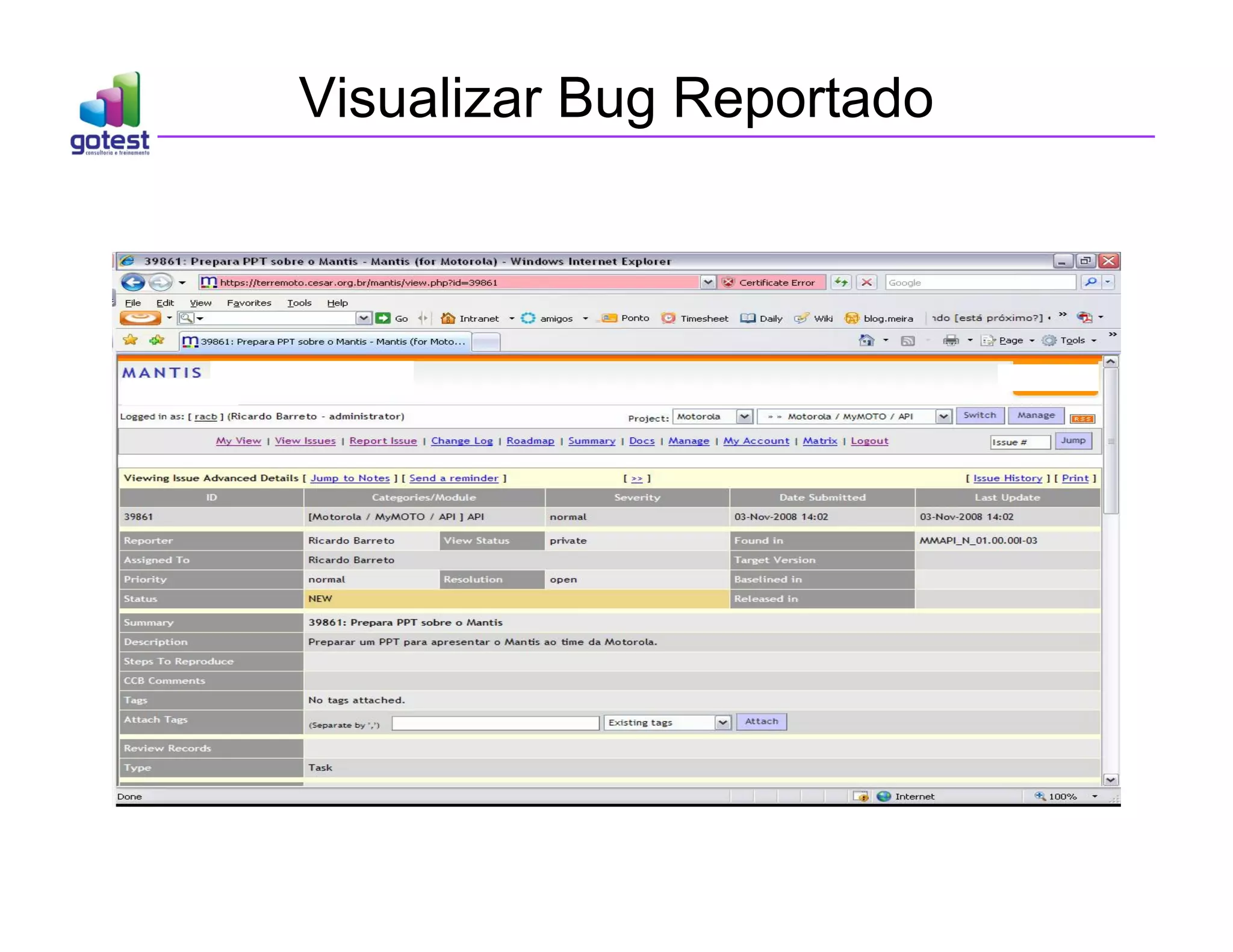 Visualizar Bug Reportado
 