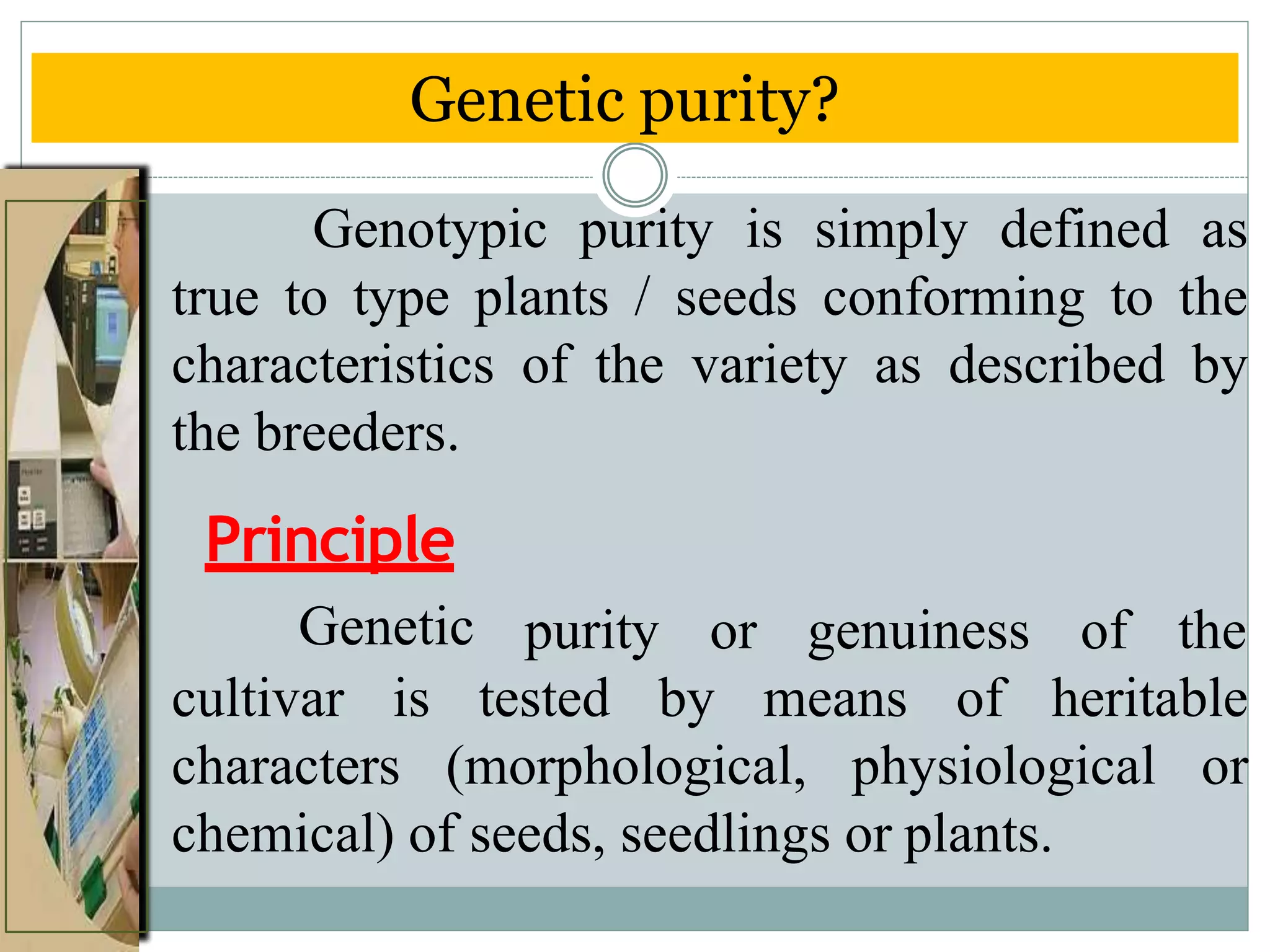 Genotypic purity is simply defined as
true to type plants / seeds conforming to the
characteristics of the variety as described by
the breeders.
Principle
Genetic purity or genuiness of the
cultivar is tested by means of heritable
characters (morphological, physiological or
chemical) of seeds, seedlings or plants.
Genetic purity?
 