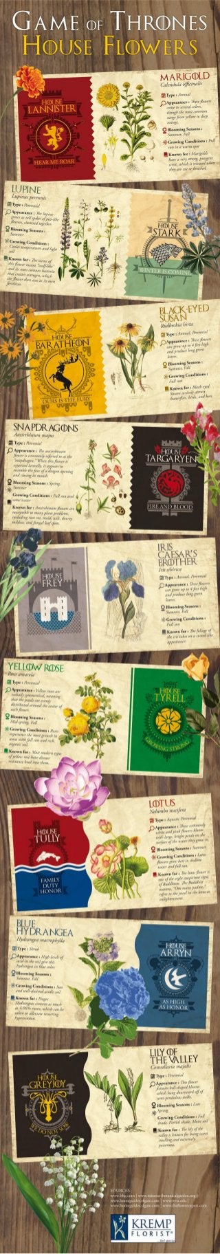 Game Of Thrones House Flowers Infographic