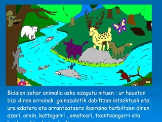 Bidaian zehar animalia asko ezagutu nituen : ur hauetan bizi diren arrainak ,gainazaletik dabiltzan intsektuak eta ura edatera eta arrantzatzera ibairaino hurbiltzen diren azeri, orein, kattagorri , omatxori, txantxangorri eta beste makina bat animalia. 