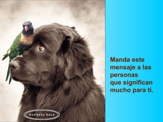 Manda este mensaje a las personas  que significan mucho para ti. 