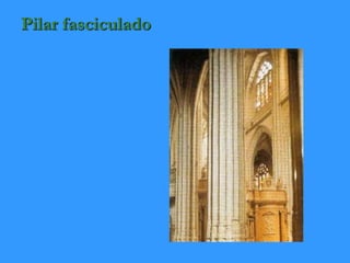 Pilar fasciculado
 