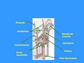 Bóveda de
crucería
Claristorio
Contrafuertes
Arbotantes
Pináculo
Triforio
Arcos
apuntados
Pilar fasciculado
 