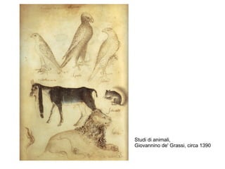 Studi di animali,
Giovannino de' Grassi, circa 1390
 