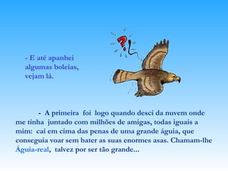 - E até apanhei algumas boleias, vejam lá. -  A primeira  foi  logo quando desci da nuvem onde me tinha  juntado com milhões de amigas, todas iguais a mim:  caí em cima das penas de uma grande águia, que conseguia voar sem bater as suas enormes asas. Chamam-lhe  Águia-real ,  talvez por ser tão grande...   