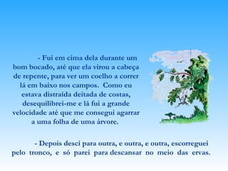 - Fui em cima dela durante um bom bocado, até que ela virou a cabeça de repente, para ver um coelho a correr lá em baixo nos campos.  Como eu estava distraída deitada de costas, desequilibrei-me e lá fui a grande velocidade até que me consegui agarrar a uma folha de uma árvore.  - Depois desci para outra, e outra, e outra, escorreguei  pelo  tronco,  e  só  parei  para descansar  no  meio  das  ervas.   