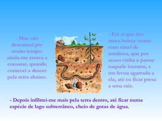 - Mas não descansei por muito tempo: ainda me estava a encostar, quando comecei a descer pela terra abaixo. - Foi aí que tive outra boleia: entrei num túnel de minhoca, que por acaso vinha a passar naquele instante, e me levou agarrada a ela, até eu ficar presa a uma raiz. - Depois infiltrei-me mais pela terra dentro, até ficar numa espécie de lago subterrâneo, cheio de gotas de água. 