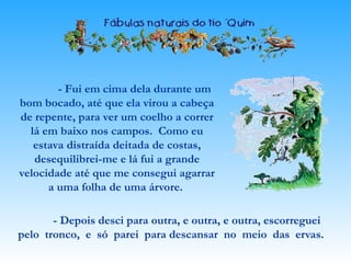 - Fui em cima dela durante um
bom bocado, até que ela virou a cabeça
de repente, para ver um coelho a correr
lá em baixo nos campos. Como eu
estava distraída deitada de costas,
desequilibrei-me e lá fui a grande
velocidade até que me consegui agarrar
a uma folha de uma árvore.
- Depois desci para outra, e outra, e outra, escorreguei
pelo tronco, e só parei para descansar no meio das ervas.
 