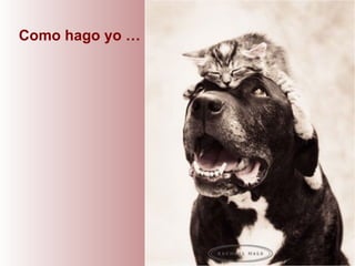 Como hago yo  … 
