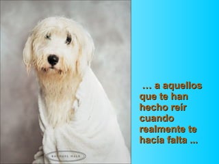 …   a aquellos que te han hecho reír   cuando realmente te hacía falta ... 