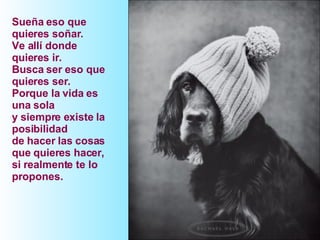 Sueña eso que quieres soñar.  Ve allí donde quieres ir. Busca ser eso que quieres ser. Porque la vida es una sola  y siempre existe la posibilidad  de hacer las cosas que quieres hacer, si realmente te lo propones. 