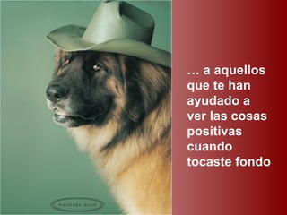 … a aquellos
que te han
ayudado a
ver las cosas
positivas
cuando
tocaste fondo
 