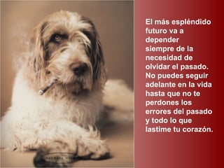 El más espléndido
futuro va a
depender
siempre de la
necesidad de
olvidar el pasado.
No puedes seguir
adelante en la vida
hasta que no te
perdones los
errores del pasado
y todo lo que
lastime tu corazón.
 