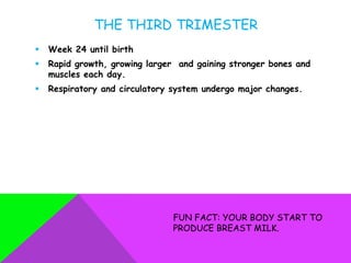 THE THIRD TRIMESTER
   Week 24 until birth
   Rapid growth, growing larger and gaining stronger bones and
    muscles each day.
   Respiratory and circulatory system undergo major changes.




                                FUN FACT: YOUR BODY START TO
                                PRODUCE BREAST MILK.
 