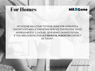 WWW.NITBGONE.COM
For Homes
NIT B GONE WILL COME TO YOUR HOME FOR A PRIVATE &
DISCRETE NIT AND LICE REMOVAL SERVICE. THE PROCESS TAKES
APPROXIMATELY 1.5 HOURS, DEPENDING ON INFESTATION.
IF YOU ARE LOOKING FOR LICE REMOVAL IN BOSTON CONTACT
US TODAY!  
 