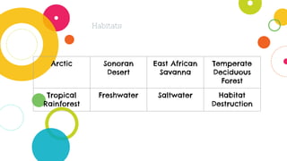 Habitats
Arctic Sonoran
Desert
East African
Savanna
Temperate
Deciduous
Forest
Tropical
Rainforest
Freshwater Saltwater Habitat
Destruction
 
