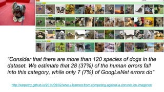 http://karpathy.github.io/2014/09/02/what-i-learned-from-competing-against-a-convnet-on-imagenet/
“Consider that there are more than 120 species of dogs in the
dataset. We estimate that 28 (37%) of the human errors fall
into this category, while only 7 (7%) of GoogLeNet errors do”
 