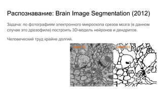 Распознавание: Brain Image Segmentation (2012)
Задача: по фотографиям электронного микроскопа срезов мозга (в данном
случае это дрозофила) построить 3D-модель нейронов и дендритов.
Человеческий труд крайне долгий.
 