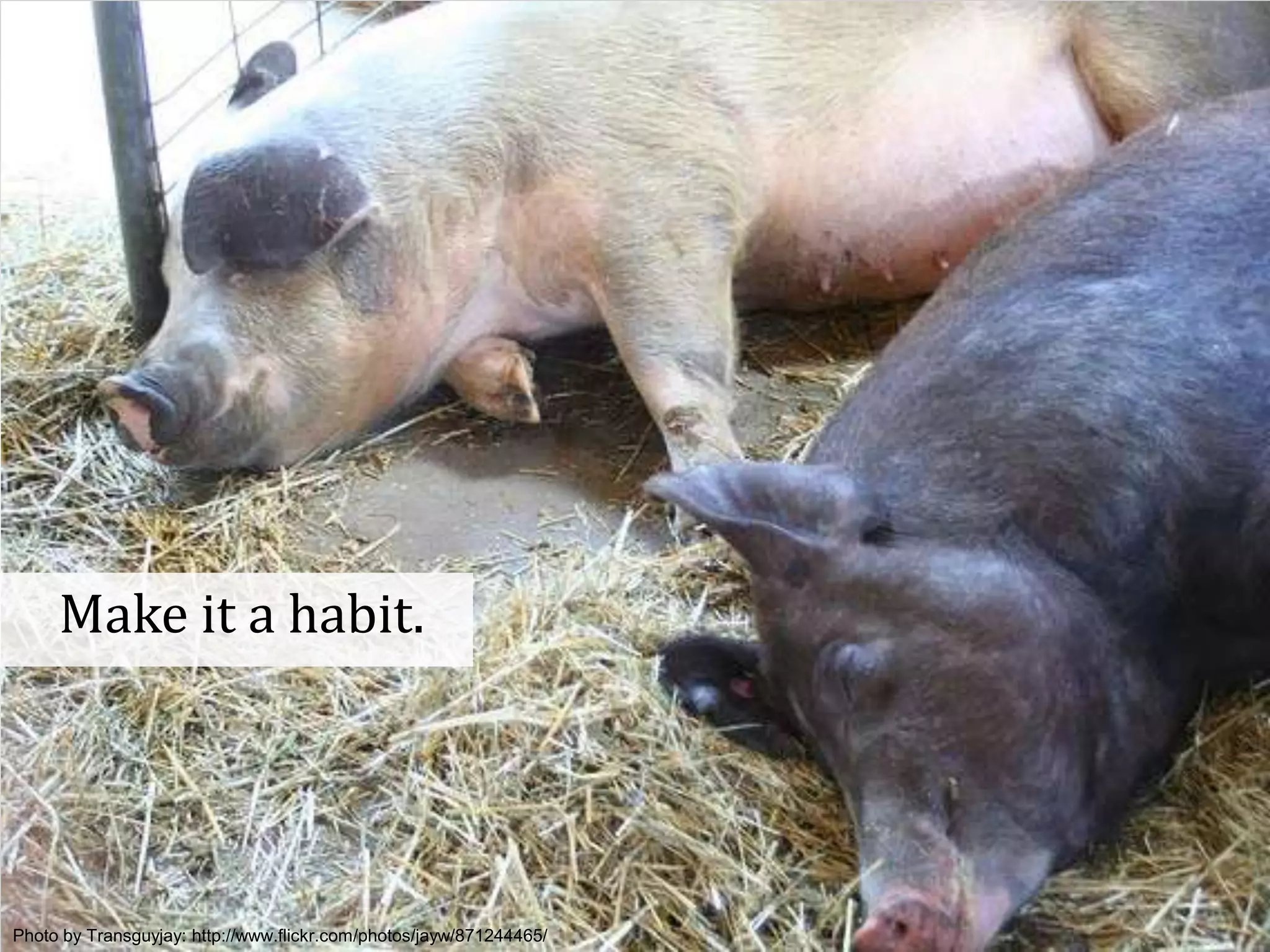 Make it a habit.




Photo Copenhagen http://www.flickr.com/photos/jayw/871244465/
GOTOby Transguyjay:2012- @johannakoll
 