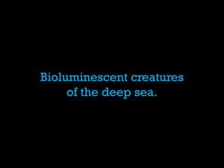 Bioluminescent creatures of the deep sea.  