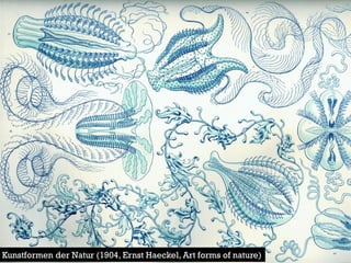 Kunstformen der Natur (1904, Ernst Haeckel, Art forms of nature)  