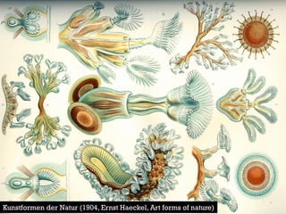 Kunstformen der Natur (1904, Ernst Haeckel, Art forms of nature)  