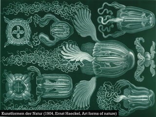 Kunstformen der Natur (1904, Ernst Haeckel, Art forms of nature)  