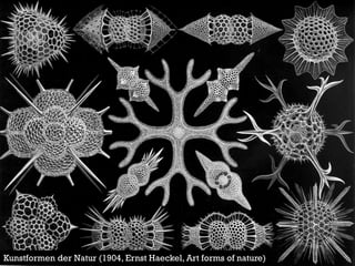 Kunstformen der Natur (1904, Ernst Haeckel, Art forms of nature)  