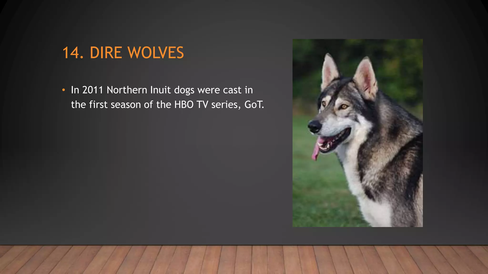 14. DIRE WOLVES
• In 2011 Northern Inuit dogs were cast in
the first season of the HBO TV series, GoT.
 