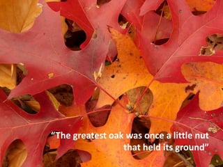 “The greatest oak was once a little nut
that held its ground”
 