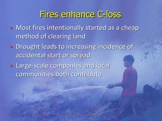 Biodiversity and Carbon Conservation in the Face of Oil-palm Development in Indonesia