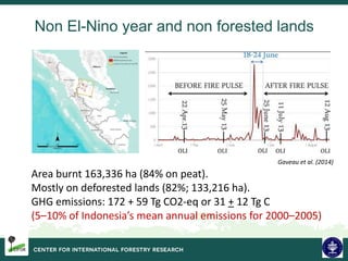 Biodiversity and Carbon Conservation in the Face of Oil-palm Development in Indonesia
