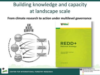 Biodiversity and Carbon Conservation in the Face of Oil-palm Development in Indonesia